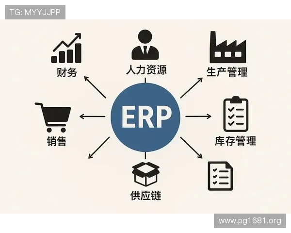全面提升企业管理效率的王牌娱乐ERP解决方案